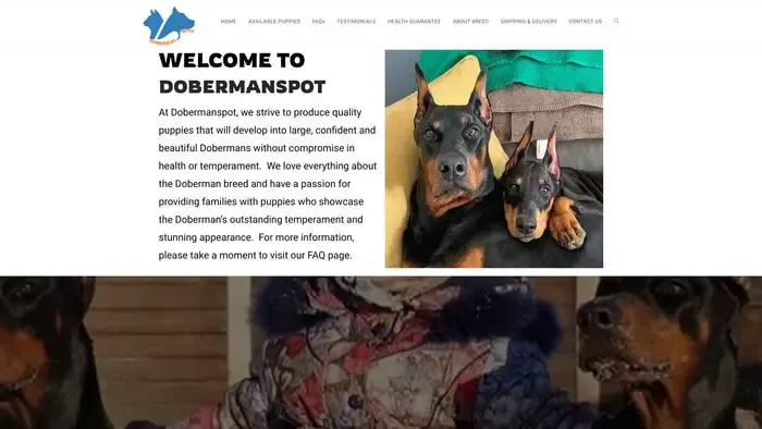 Screenshot of
