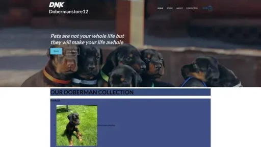 Screenshot of