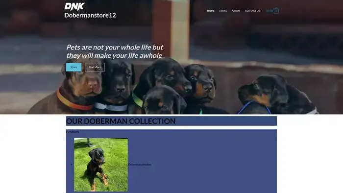 Screenshot of