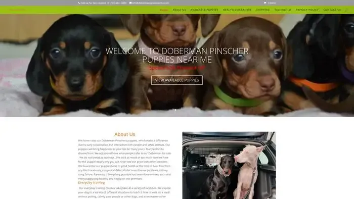 Screenshot of