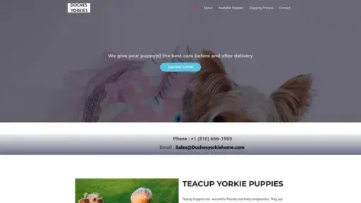 Screenshot of