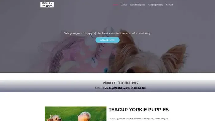 Screenshot of