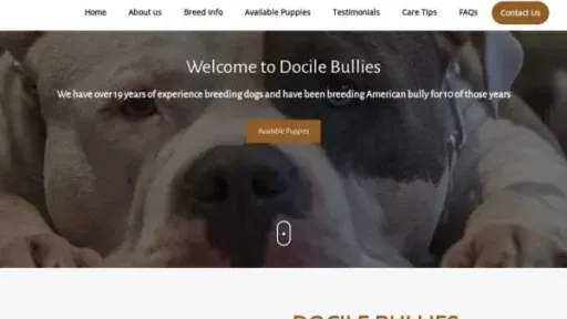 Screenshot of