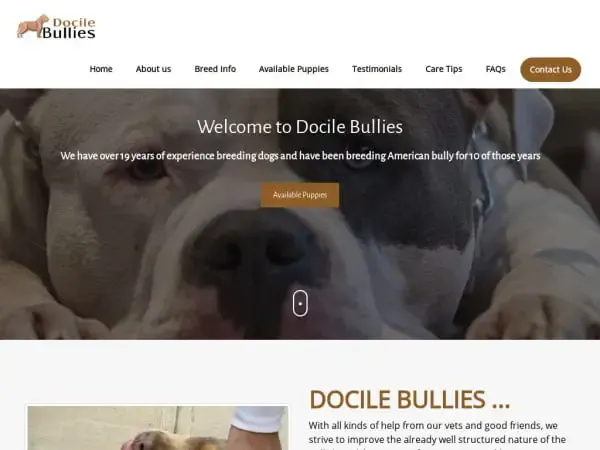 Screenshot of