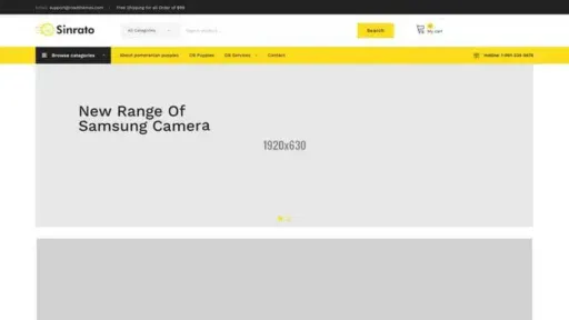 Screenshot of