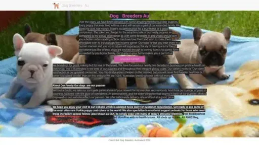 Screenshot of