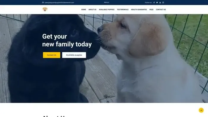 Screenshot of