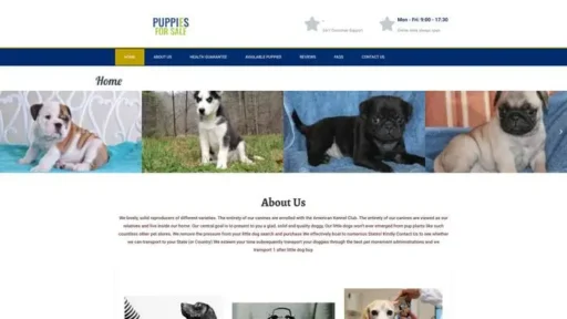 Screenshot of