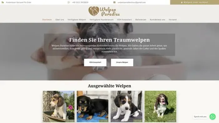 Screenshot of