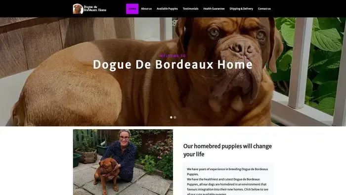 Screenshot of
