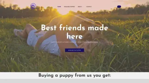 Screenshot of