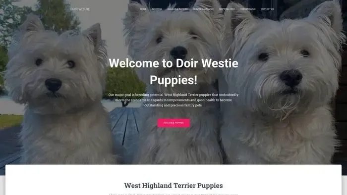 Screenshot of
