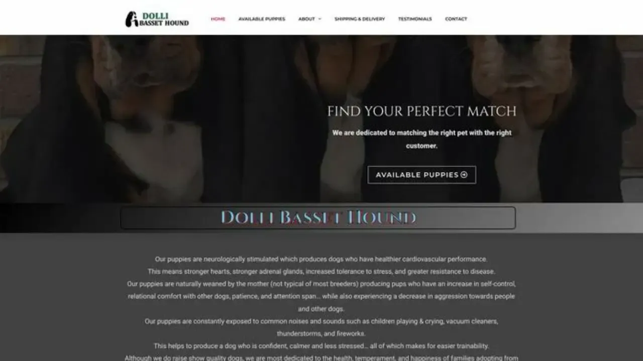 Screenshot of||