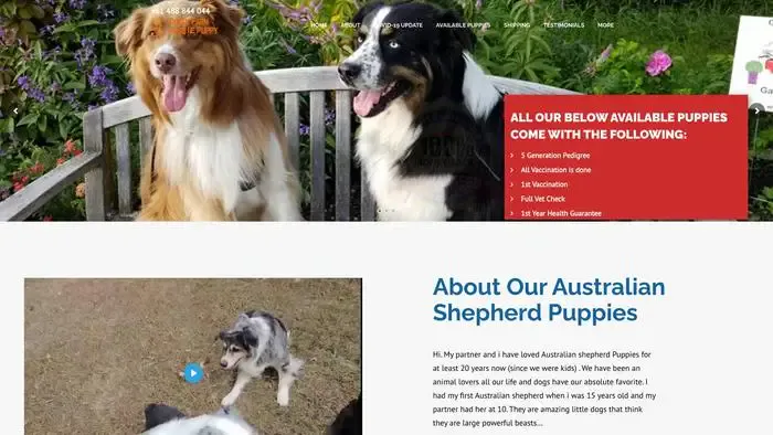 Screenshot of