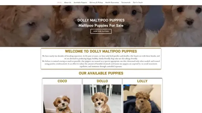 Screenshot of