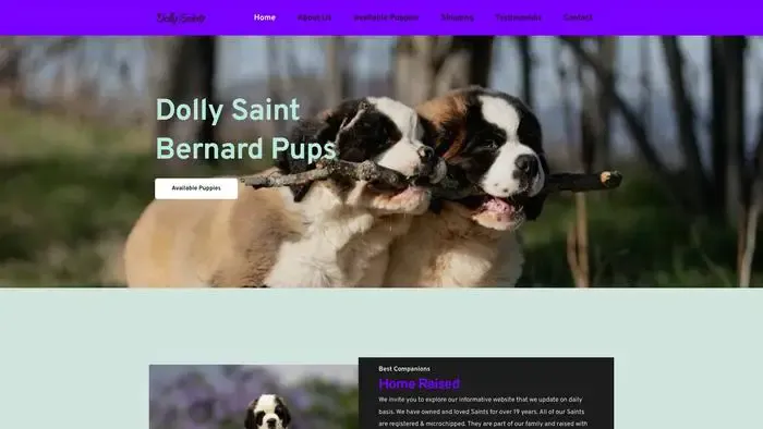 Screenshot of