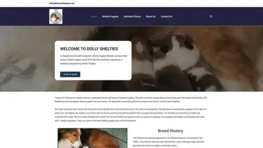 Screenshot of