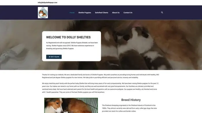 Screenshot of