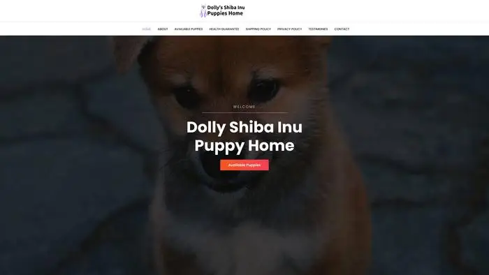 Screenshot of
