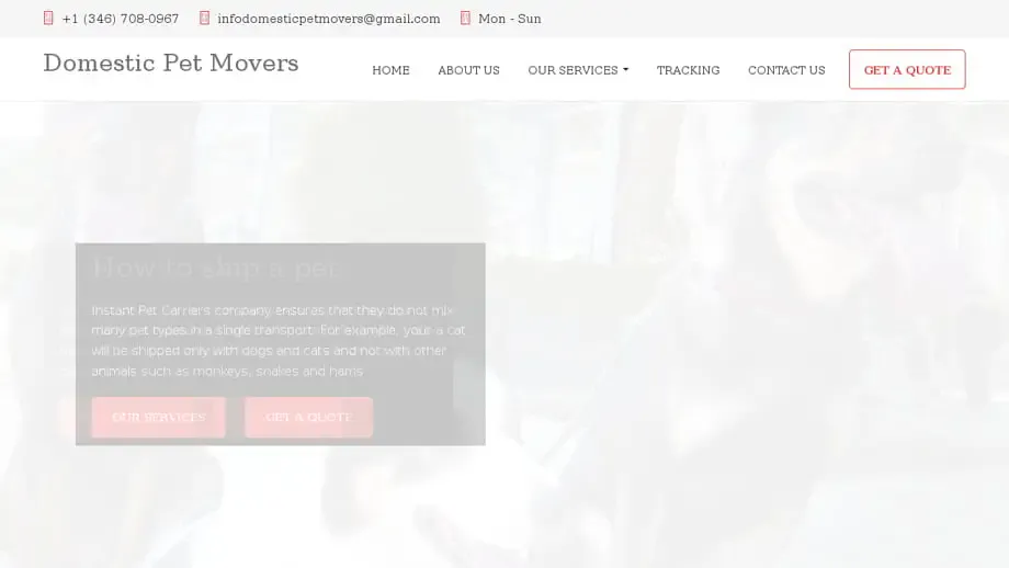 Screenshot of