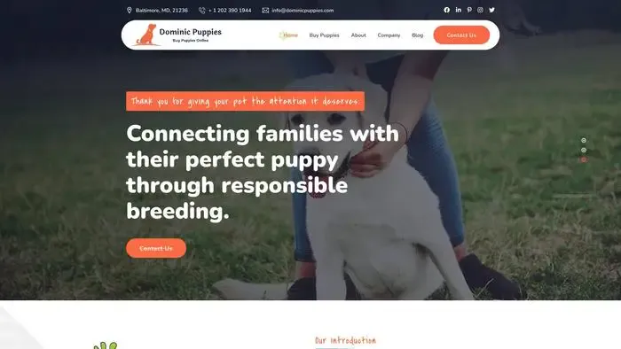 Screenshot of