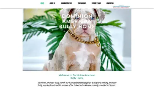 Screenshot of