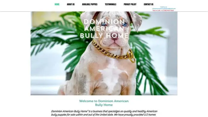 Screenshot of