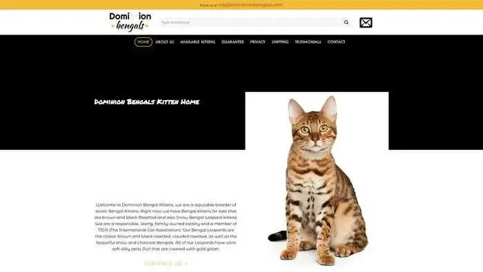 Screenshot of