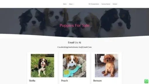 Screenshot of