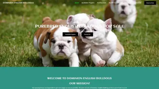 Screenshot of