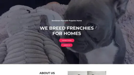 Screenshot of