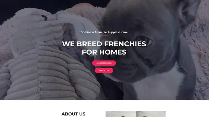 Screenshot of