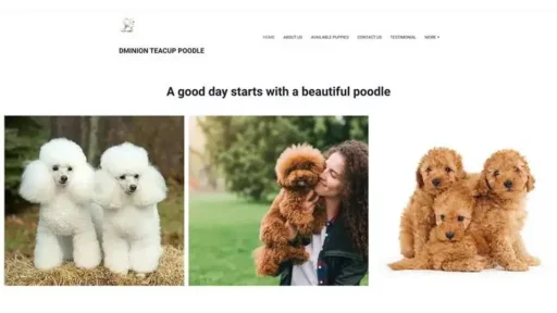 Screenshot of