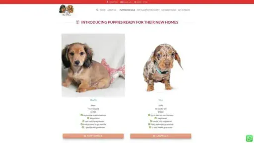 Screenshot of