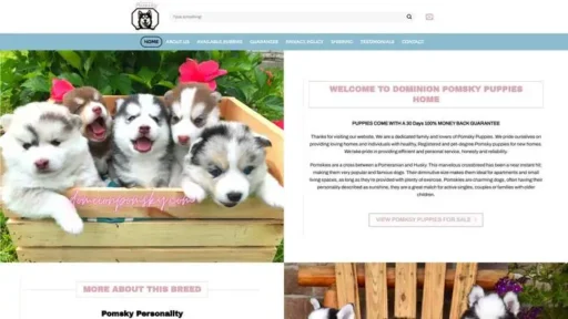 Screenshot of