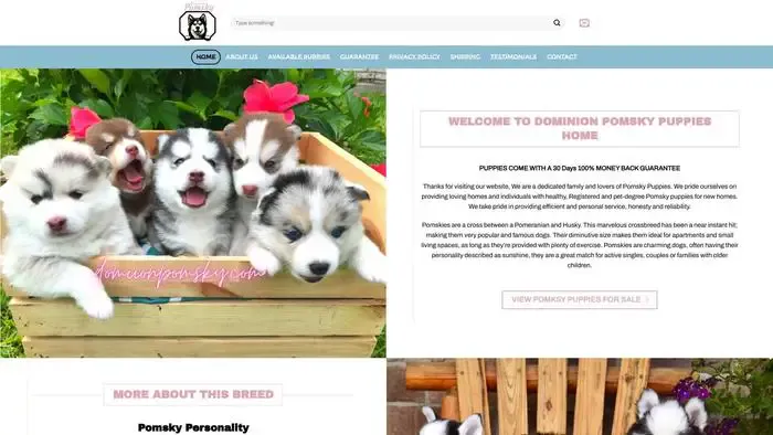 Screenshot of