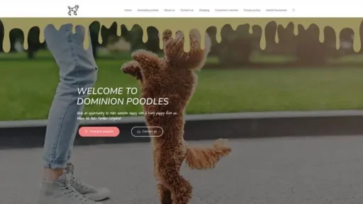 Screenshot of