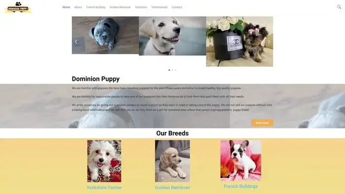 Screenshot of