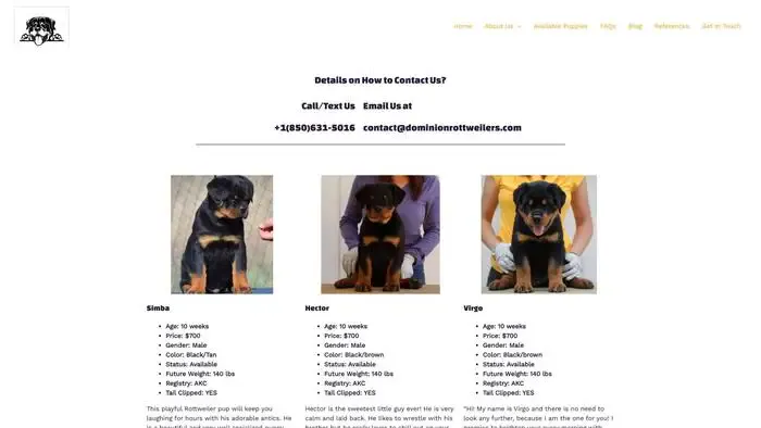 Screenshot of