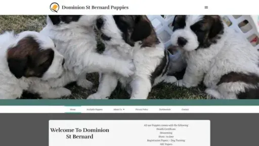Screenshot of