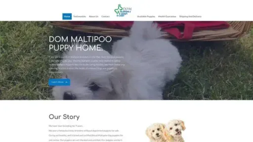 Screenshot of