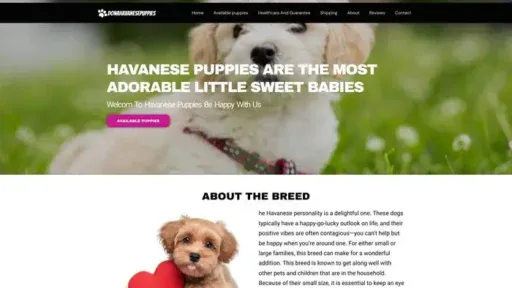 Screenshot of
