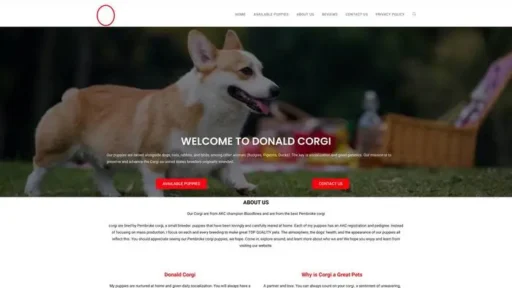Screenshot of