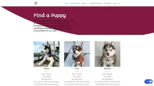 Screenshot of