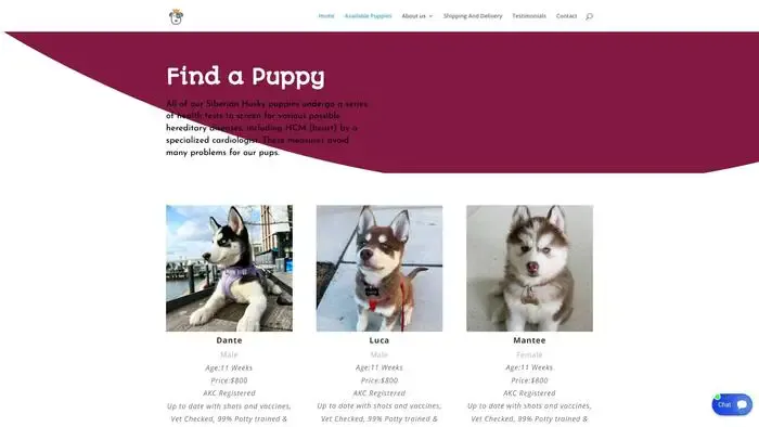 Screenshot of