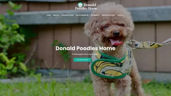 Screenshot of