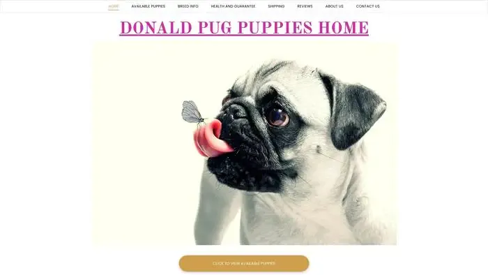 Screenshot of