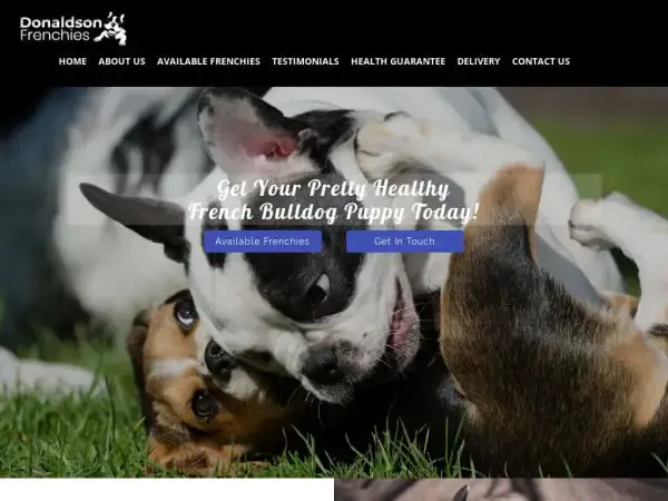 Screenshot of