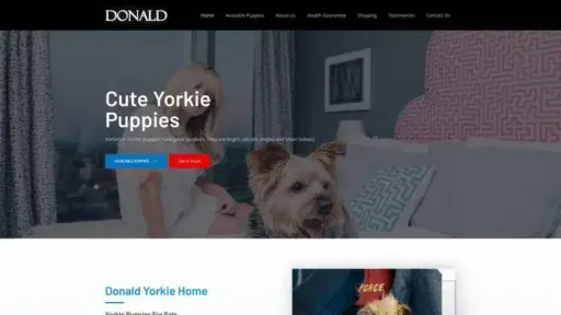 Screenshot of