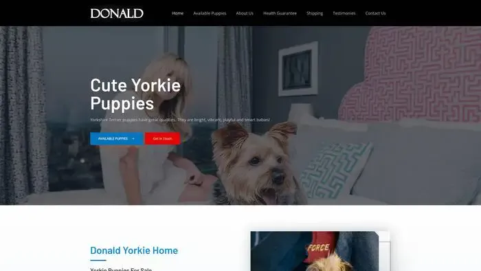 Screenshot of